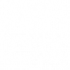 Team Members